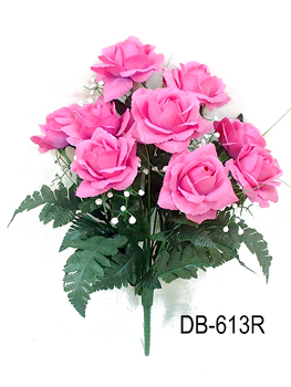 DB-613R