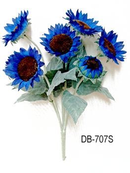 DB-707S