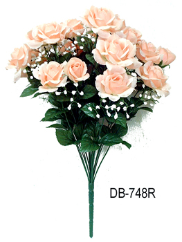 DB-748R
