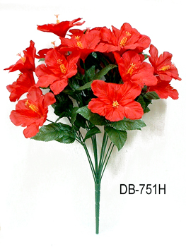 DB-751H