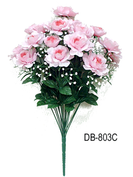 DB-803C