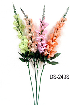 DS-249S