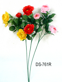 DS-761R