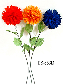 DS-853M